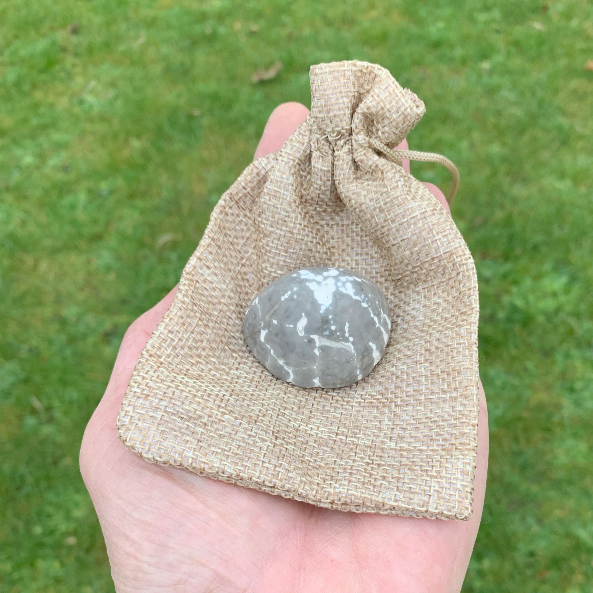 Forstenet søpindsvin Nr. 168