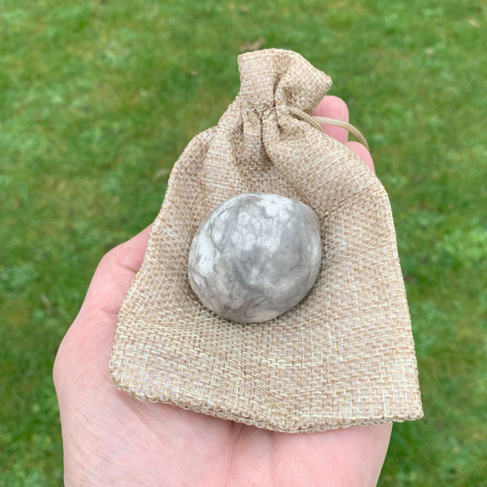 Forstenet søpindsvin Nr. 214