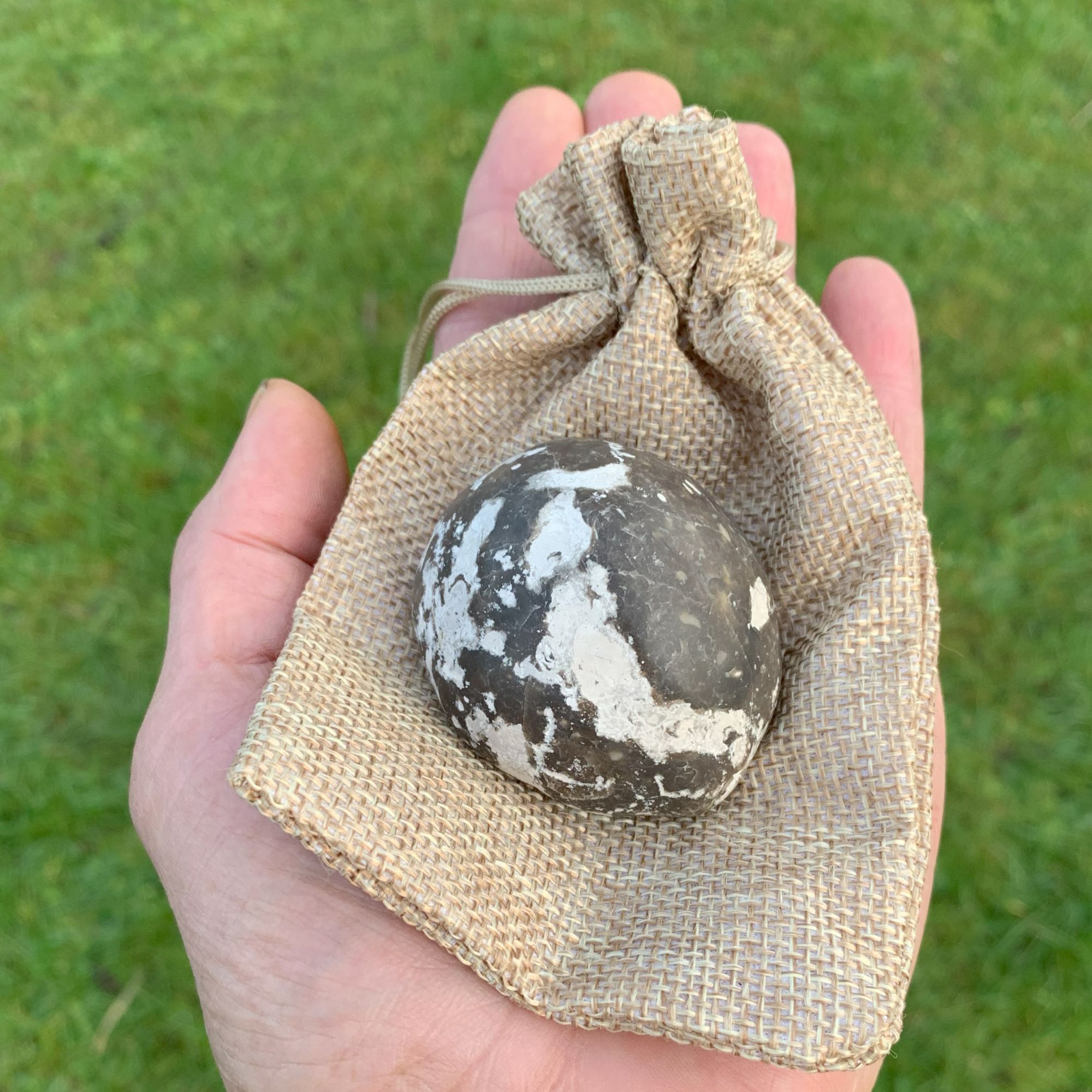 Forstenet søpindsvin Nr. 239