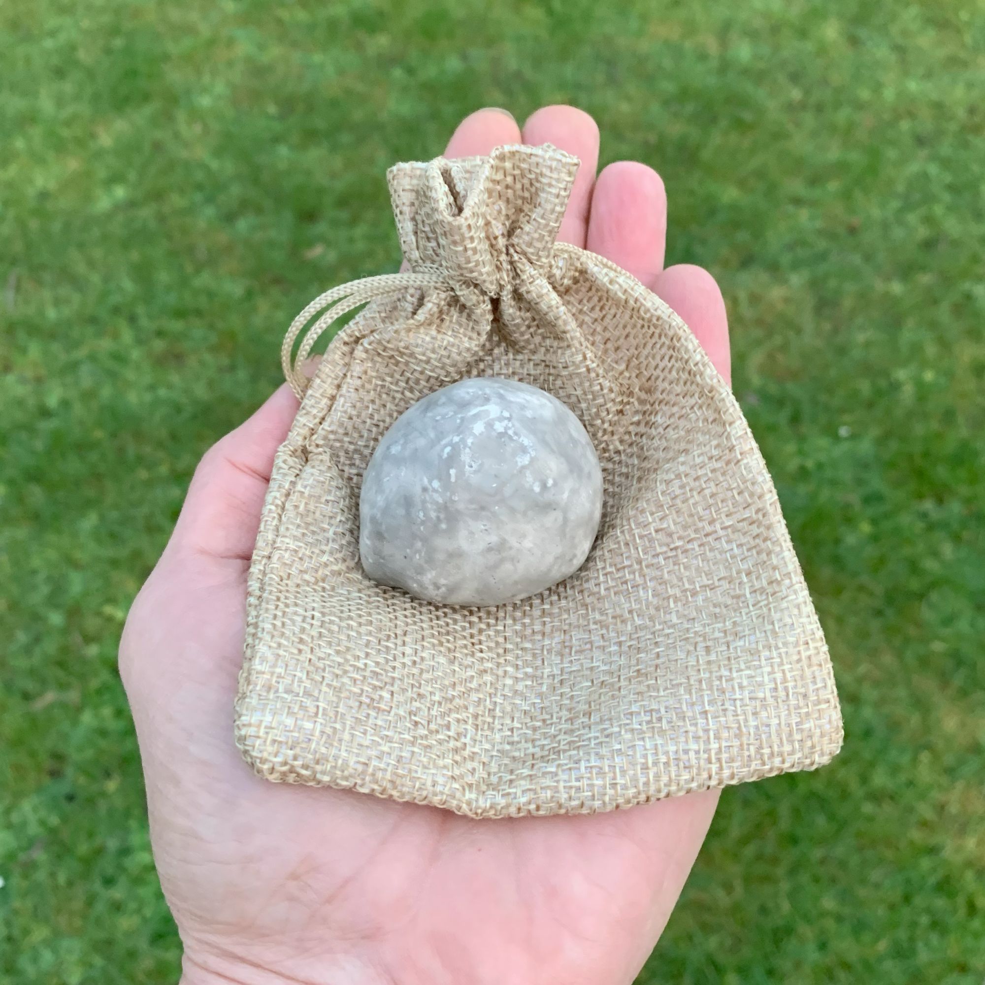 Forstenet søpindsvin Nr. 245