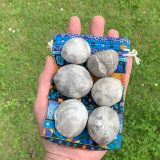 Samling af 6 forstenede søpindsvin Nr. 111