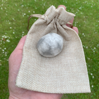 Forstenet søpindsvin Nr. 112