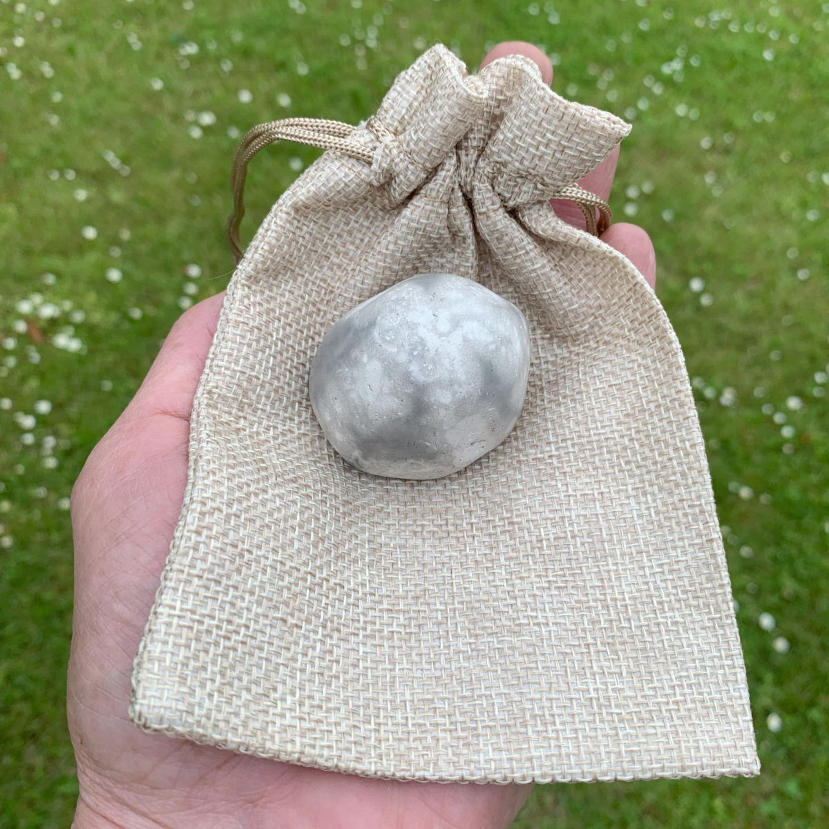 Forstenet søpindsvin Nr. 112