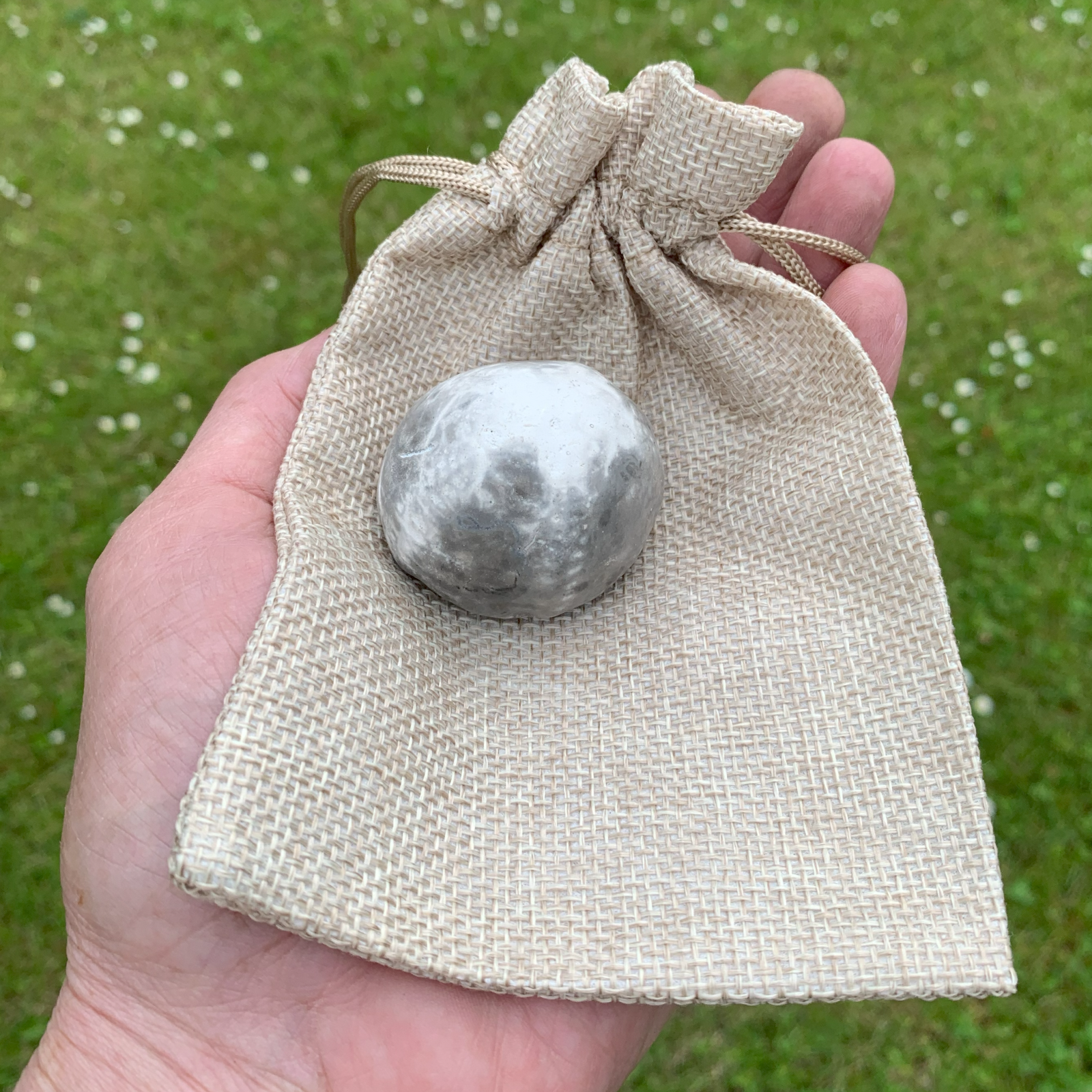 Forstenet søpindsvin Nr. 131