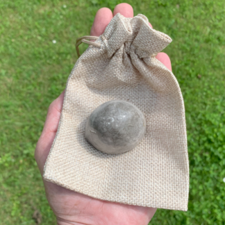 Forstenet søpindsvin Nr. 138