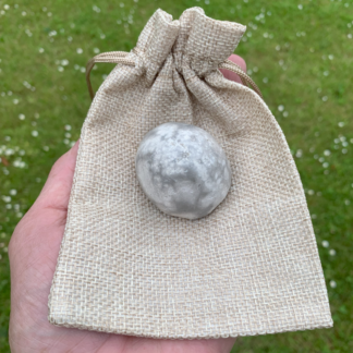 Forstenet søpindsvin Nr. 210