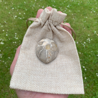 Forstenet søpindsvin Nr. 222