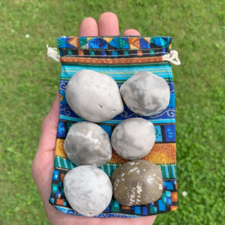 Samling af 6 forstenede søpindsvin Nr. 248