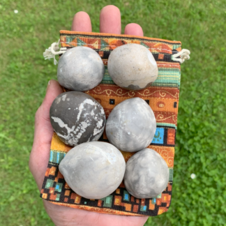 Samling af 6 forstenede søpindsvin Nr. 276