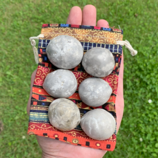 Samling af 6 forstenede søpindsvin Nr. 356