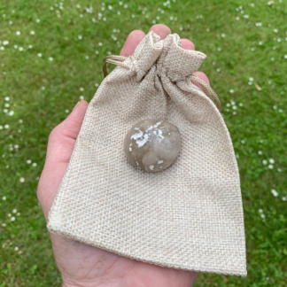 Forstenet søpindsvin Nr. 357