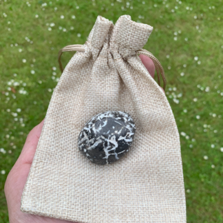 Forstenet søpindsvin Nr. 384