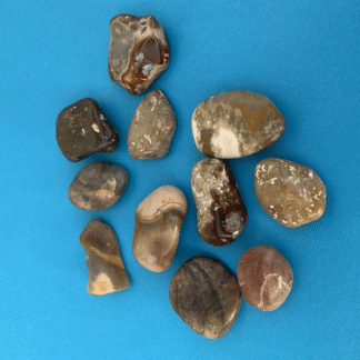 Stensamling 40 Poleret dansk flint 3-5 cm