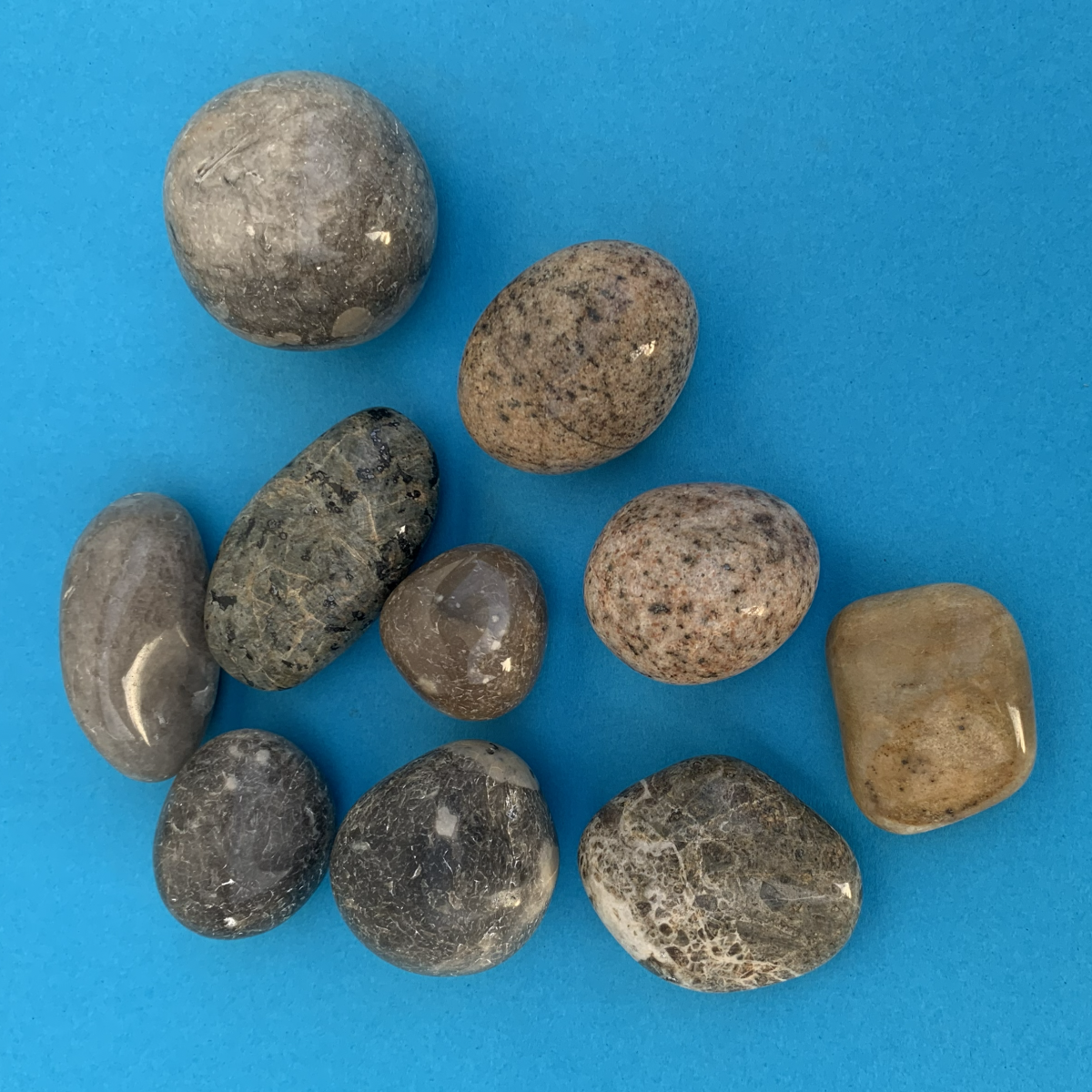 Stensamling 42 Poleret dansk sandsten og granit 3-5 cm