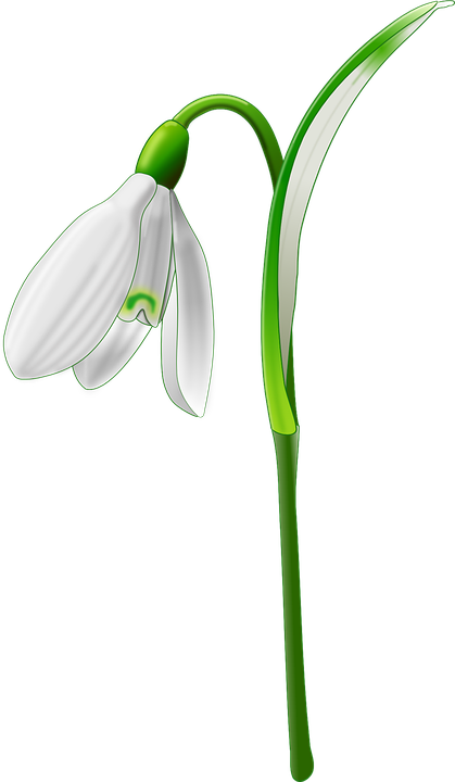 Design 52