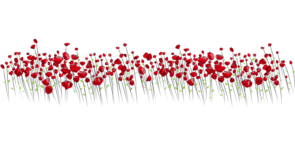 Design 55
