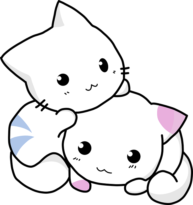 Design 62