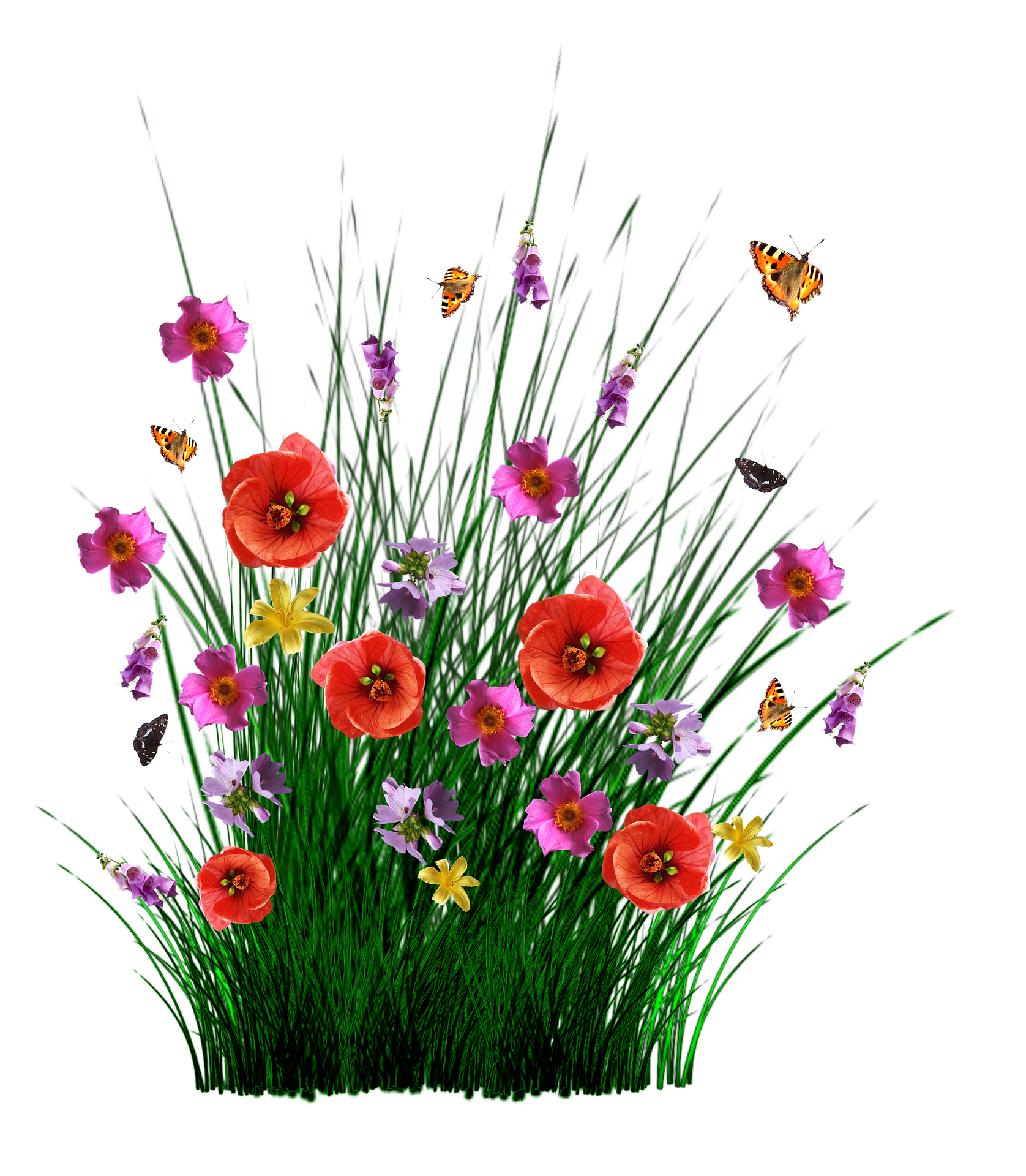 Design 16