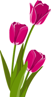 Design 69