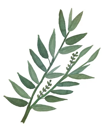 Design 71